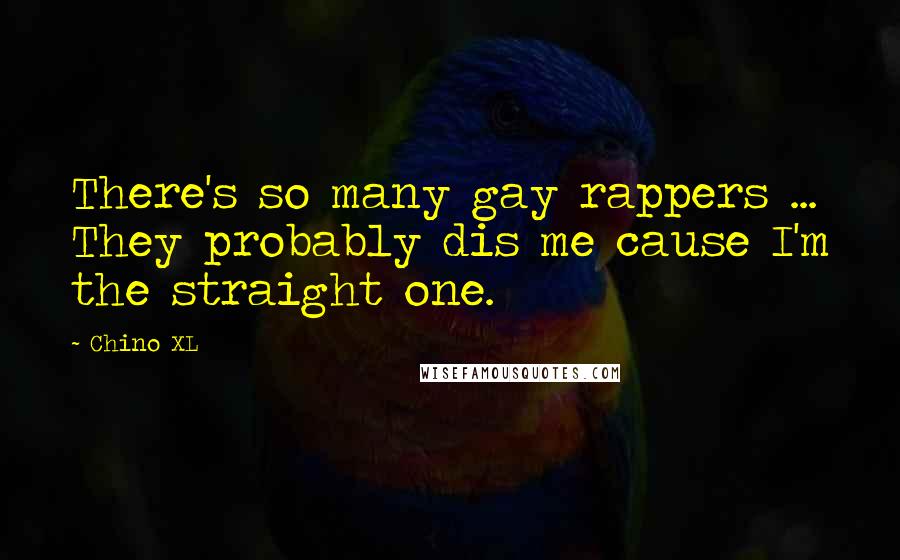 Chino XL Quotes: There's so many gay rappers ... They probably dis me cause I'm the straight one.