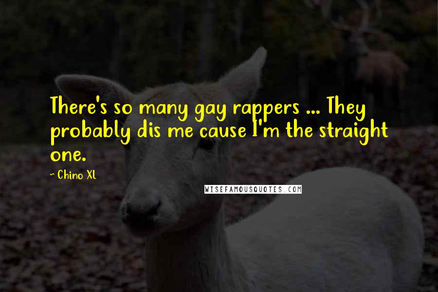 Chino XL Quotes: There's so many gay rappers ... They probably dis me cause I'm the straight one.