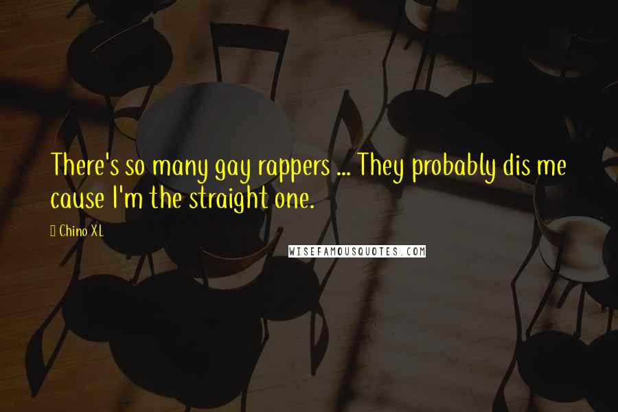 Chino XL Quotes: There's so many gay rappers ... They probably dis me cause I'm the straight one.