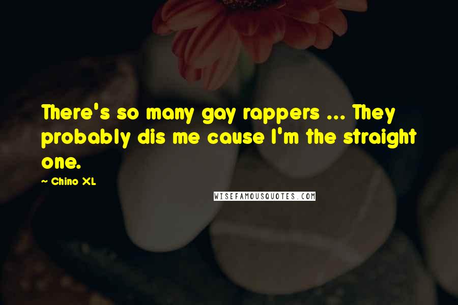 Chino XL Quotes: There's so many gay rappers ... They probably dis me cause I'm the straight one.