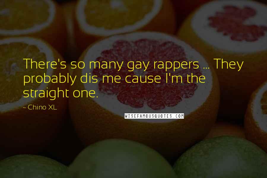 Chino XL Quotes: There's so many gay rappers ... They probably dis me cause I'm the straight one.