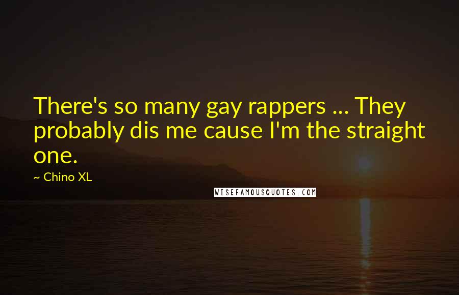 Chino XL Quotes: There's so many gay rappers ... They probably dis me cause I'm the straight one.