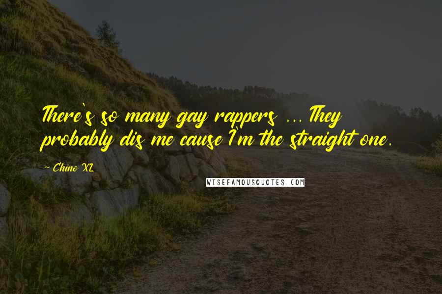 Chino XL Quotes: There's so many gay rappers ... They probably dis me cause I'm the straight one.