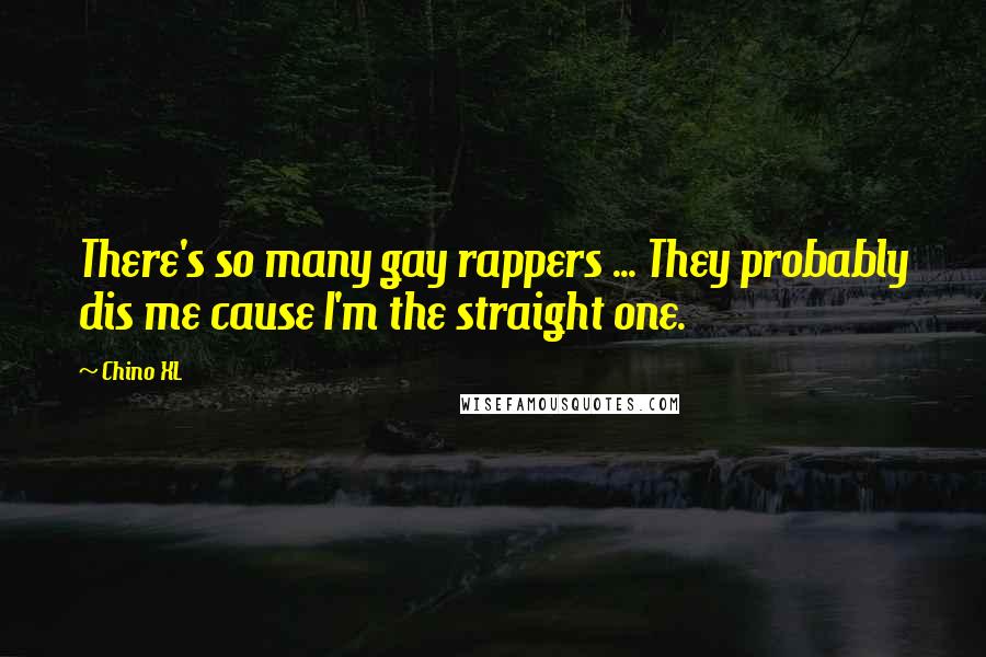 Chino XL Quotes: There's so many gay rappers ... They probably dis me cause I'm the straight one.