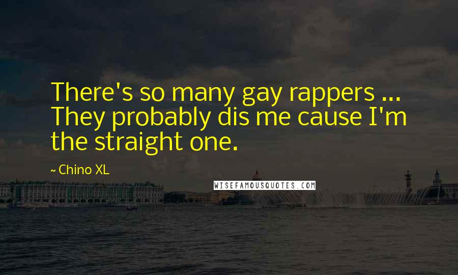 Chino XL Quotes: There's so many gay rappers ... They probably dis me cause I'm the straight one.