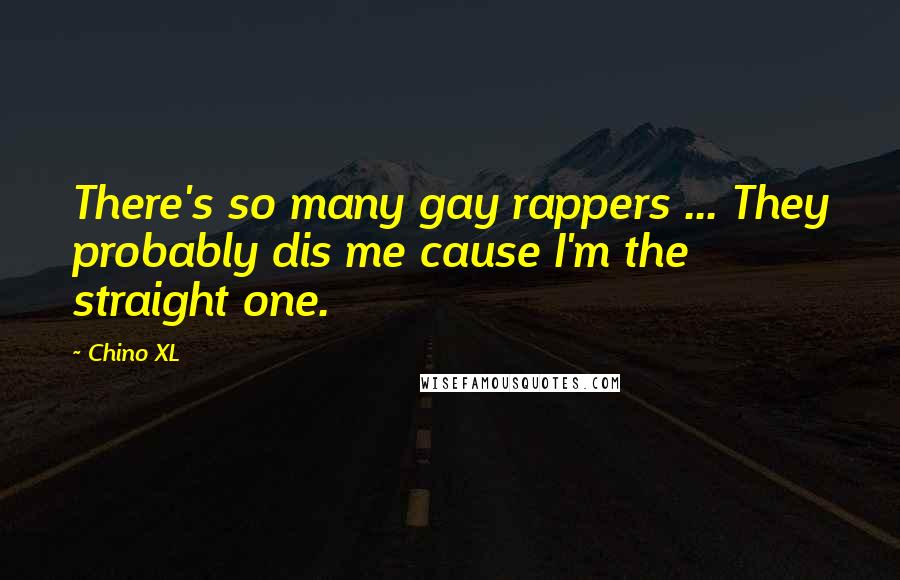 Chino XL Quotes: There's so many gay rappers ... They probably dis me cause I'm the straight one.