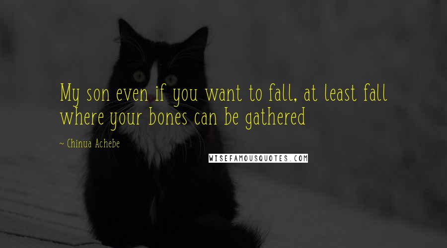 Chinua Achebe Quotes: My son even if you want to fall, at least fall where your bones can be gathered