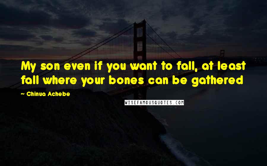 Chinua Achebe Quotes: My son even if you want to fall, at least fall where your bones can be gathered