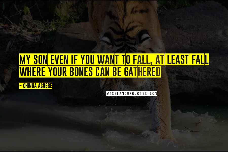 Chinua Achebe Quotes: My son even if you want to fall, at least fall where your bones can be gathered