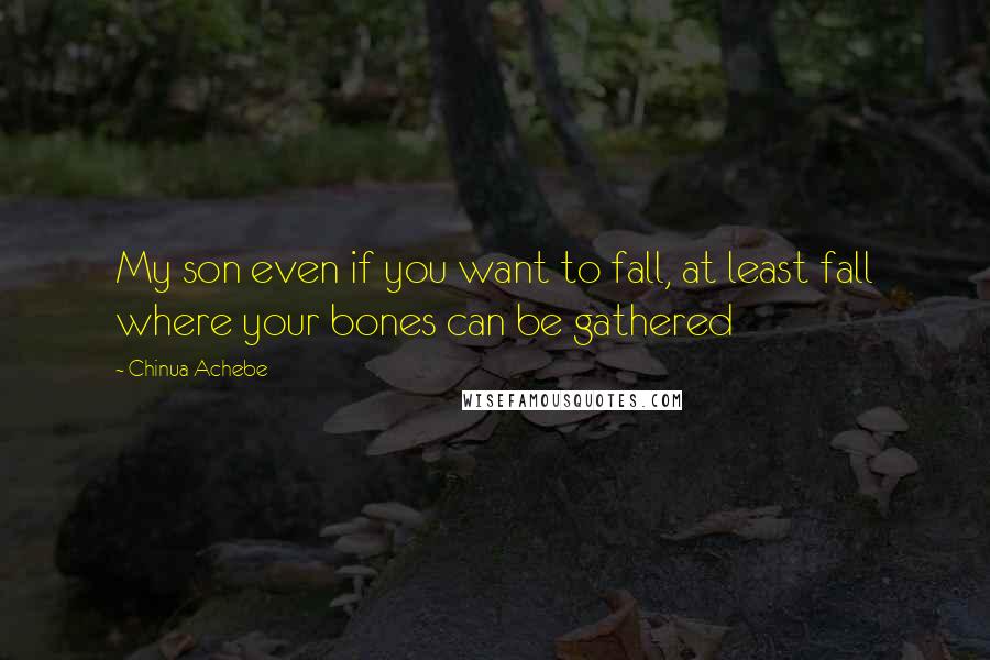 Chinua Achebe Quotes: My son even if you want to fall, at least fall where your bones can be gathered
