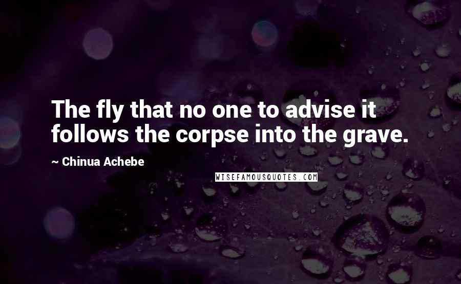 Chinua Achebe Quotes: The fly that no one to advise it follows the corpse into the grave.