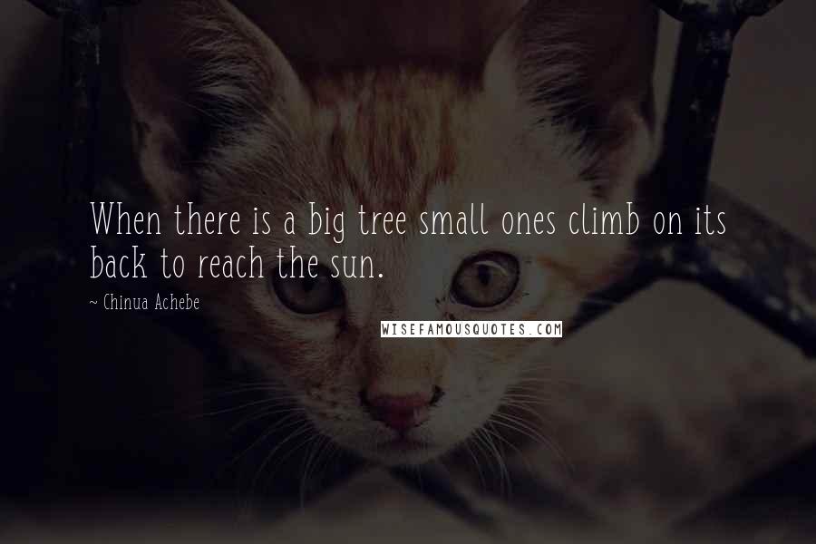 Chinua Achebe Quotes: When there is a big tree small ones climb on its back to reach the sun.