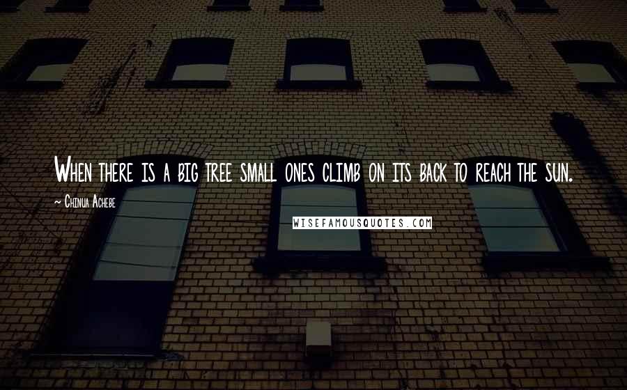 Chinua Achebe Quotes: When there is a big tree small ones climb on its back to reach the sun.