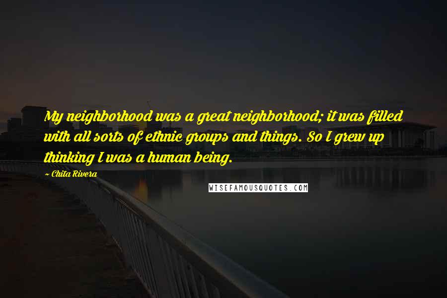 Chita Rivera Quotes: My neighborhood was a great neighborhood; it was filled with all sorts of ethnic groups and things. So I grew up thinking I was a human being.