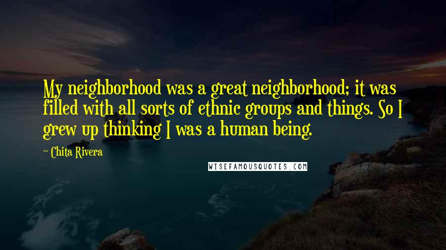 Chita Rivera Quotes: My neighborhood was a great neighborhood; it was filled with all sorts of ethnic groups and things. So I grew up thinking I was a human being.