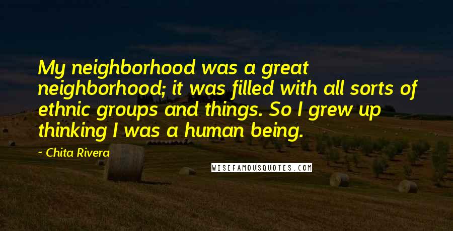 Chita Rivera Quotes: My neighborhood was a great neighborhood; it was filled with all sorts of ethnic groups and things. So I grew up thinking I was a human being.