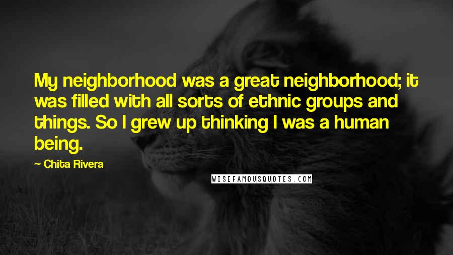 Chita Rivera Quotes: My neighborhood was a great neighborhood; it was filled with all sorts of ethnic groups and things. So I grew up thinking I was a human being.