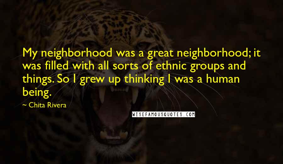 Chita Rivera Quotes: My neighborhood was a great neighborhood; it was filled with all sorts of ethnic groups and things. So I grew up thinking I was a human being.