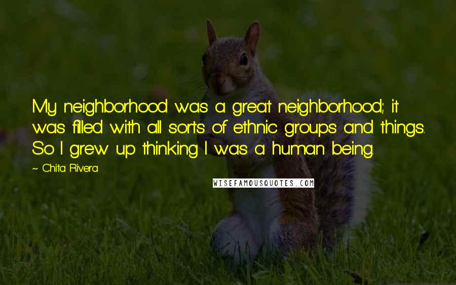 Chita Rivera Quotes: My neighborhood was a great neighborhood; it was filled with all sorts of ethnic groups and things. So I grew up thinking I was a human being.