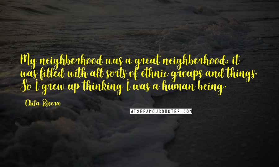 Chita Rivera Quotes: My neighborhood was a great neighborhood; it was filled with all sorts of ethnic groups and things. So I grew up thinking I was a human being.