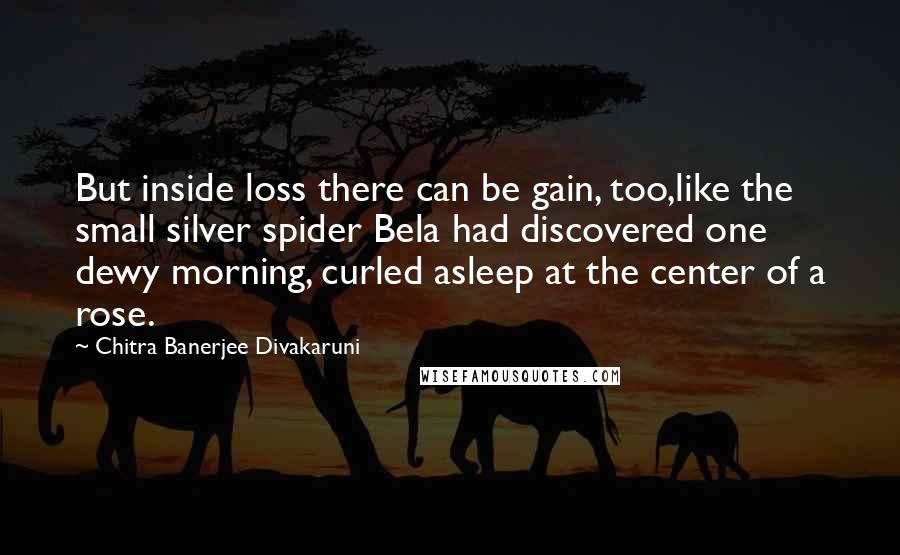 Chitra Banerjee Divakaruni Quotes: But inside loss there can be gain, too,like the small silver spider Bela had discovered one dewy morning, curled asleep at the center of a rose.
