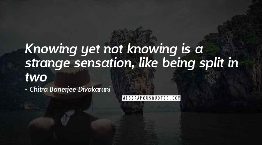 Chitra Banerjee Divakaruni Quotes: Knowing yet not knowing is a strange sensation, like being split in two