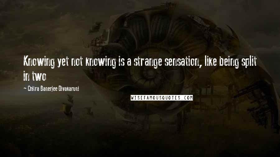 Chitra Banerjee Divakaruni Quotes: Knowing yet not knowing is a strange sensation, like being split in two