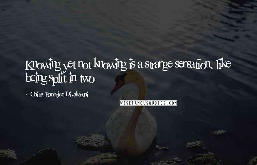 Chitra Banerjee Divakaruni Quotes: Knowing yet not knowing is a strange sensation, like being split in two