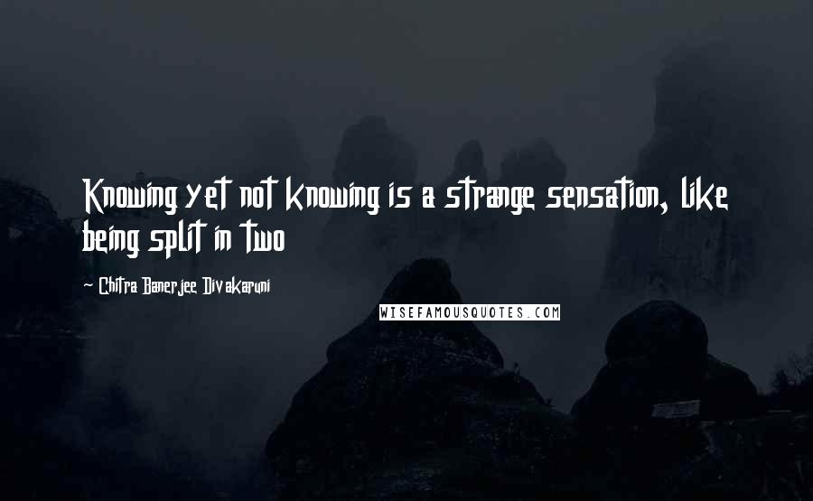 Chitra Banerjee Divakaruni Quotes: Knowing yet not knowing is a strange sensation, like being split in two