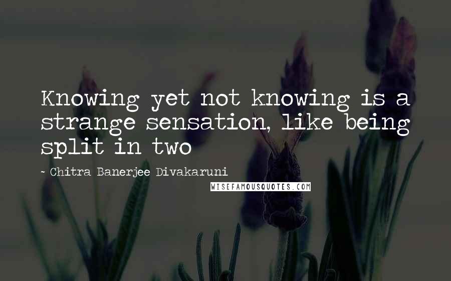 Chitra Banerjee Divakaruni Quotes: Knowing yet not knowing is a strange sensation, like being split in two