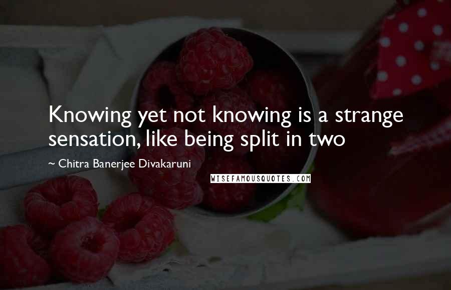 Chitra Banerjee Divakaruni Quotes: Knowing yet not knowing is a strange sensation, like being split in two