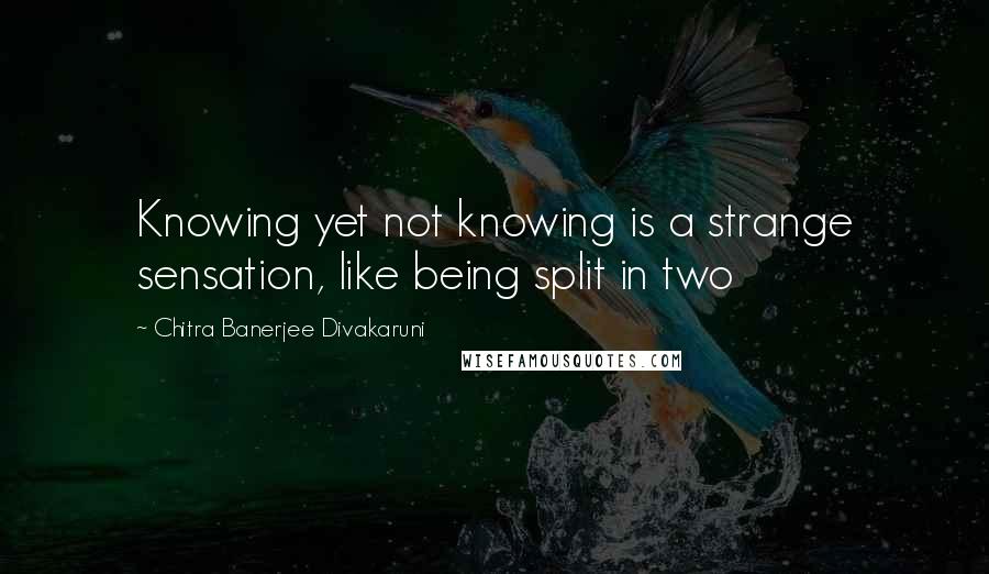 Chitra Banerjee Divakaruni Quotes: Knowing yet not knowing is a strange sensation, like being split in two