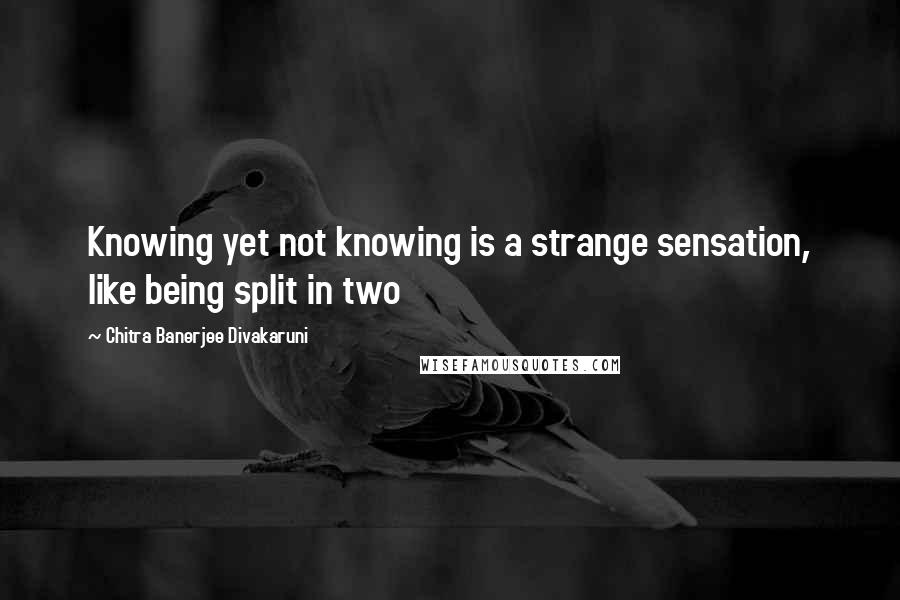Chitra Banerjee Divakaruni Quotes: Knowing yet not knowing is a strange sensation, like being split in two
