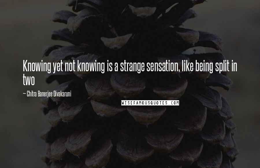 Chitra Banerjee Divakaruni Quotes: Knowing yet not knowing is a strange sensation, like being split in two