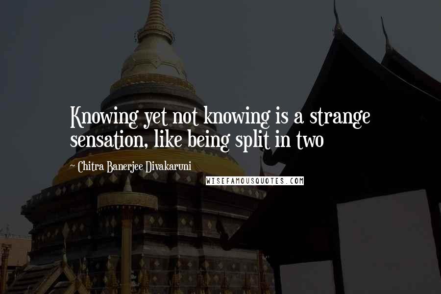 Chitra Banerjee Divakaruni Quotes: Knowing yet not knowing is a strange sensation, like being split in two