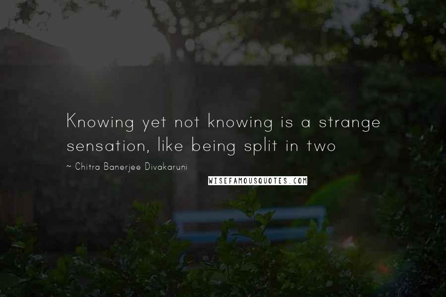 Chitra Banerjee Divakaruni Quotes: Knowing yet not knowing is a strange sensation, like being split in two