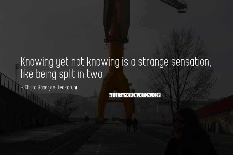 Chitra Banerjee Divakaruni Quotes: Knowing yet not knowing is a strange sensation, like being split in two