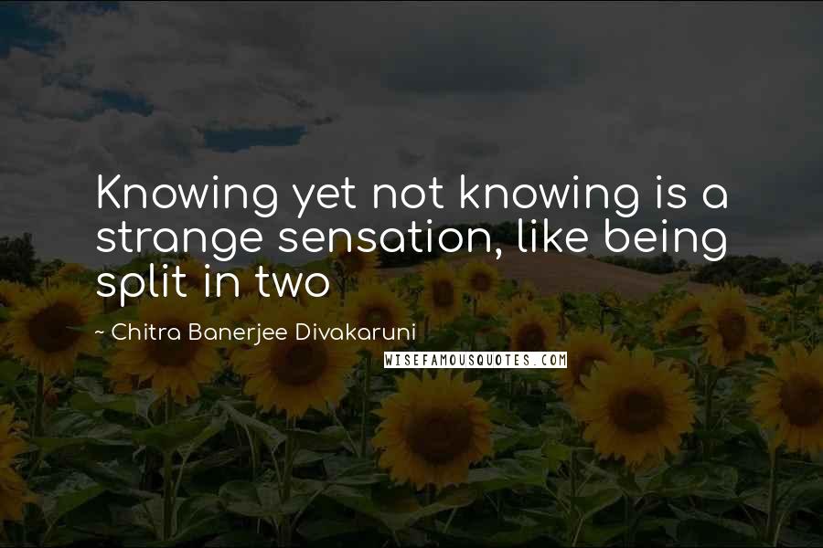 Chitra Banerjee Divakaruni Quotes: Knowing yet not knowing is a strange sensation, like being split in two