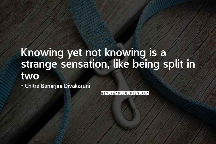 Chitra Banerjee Divakaruni Quotes: Knowing yet not knowing is a strange sensation, like being split in two