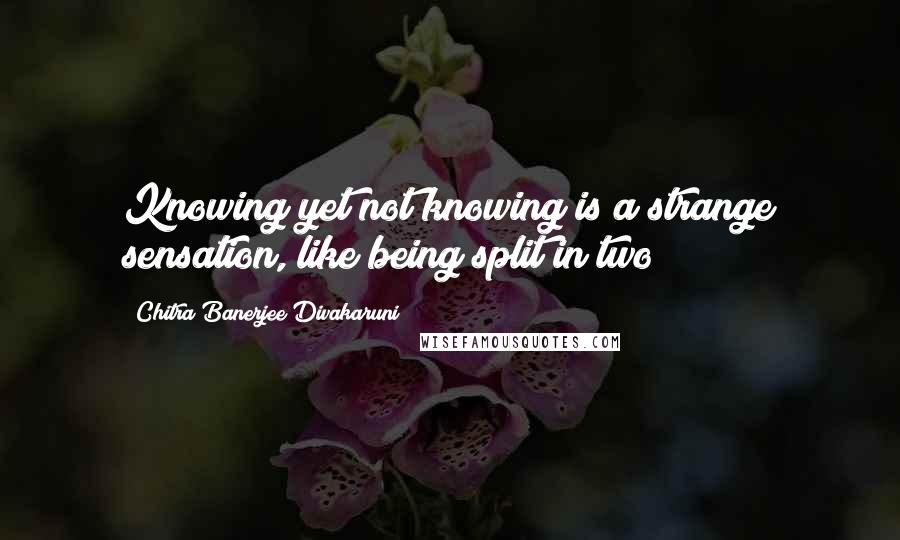 Chitra Banerjee Divakaruni Quotes: Knowing yet not knowing is a strange sensation, like being split in two