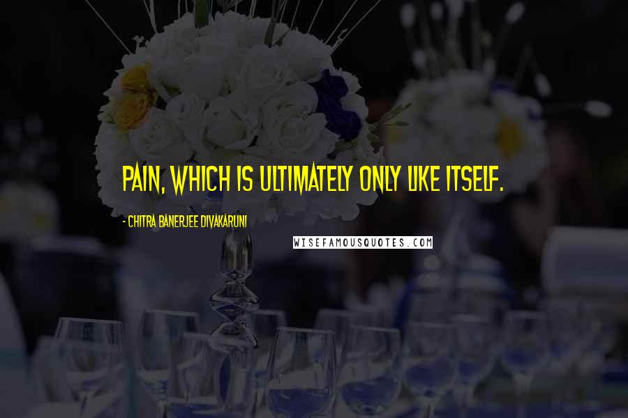Chitra Banerjee Divakaruni Quotes: Pain, which is ultimately only like itself.