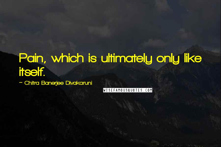 Chitra Banerjee Divakaruni Quotes: Pain, which is ultimately only like itself.