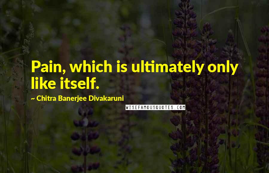 Chitra Banerjee Divakaruni Quotes: Pain, which is ultimately only like itself.