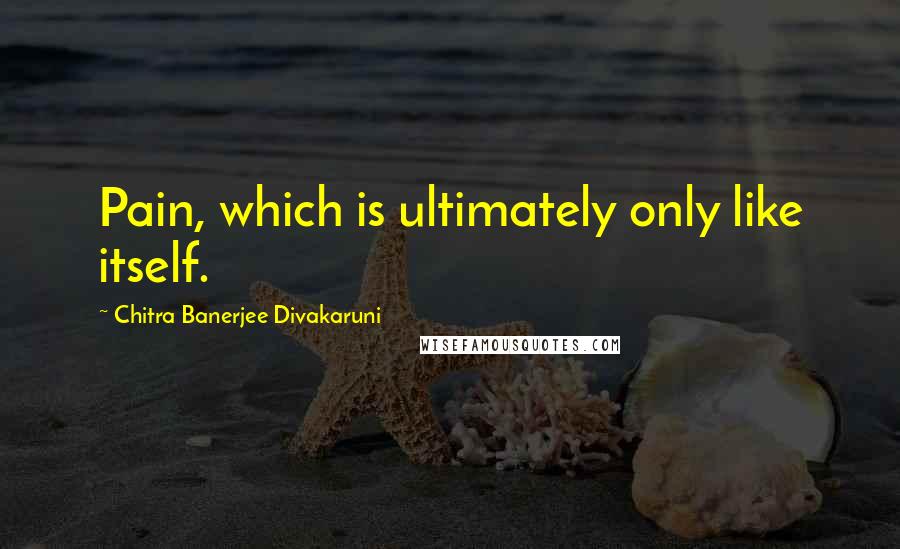 Chitra Banerjee Divakaruni Quotes: Pain, which is ultimately only like itself.