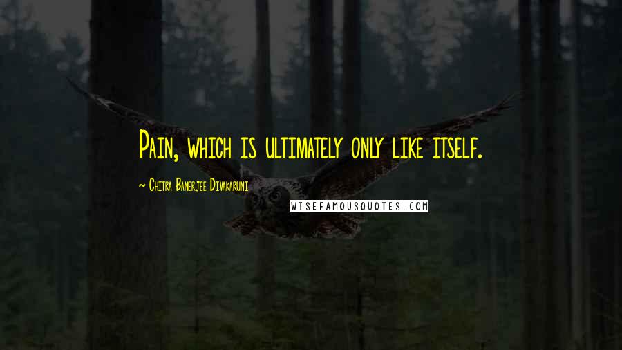 Chitra Banerjee Divakaruni Quotes: Pain, which is ultimately only like itself.