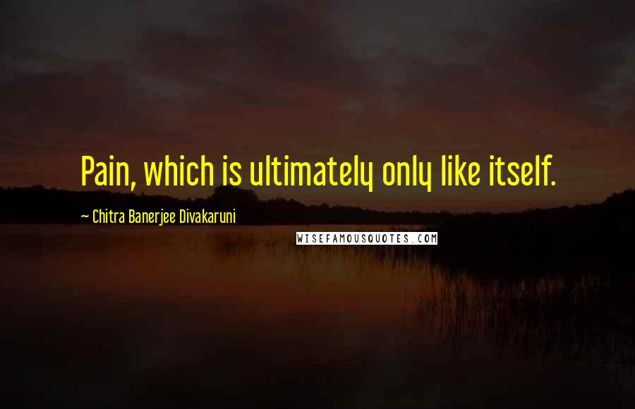 Chitra Banerjee Divakaruni Quotes: Pain, which is ultimately only like itself.