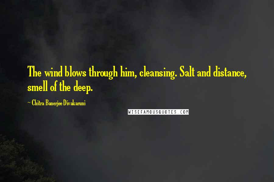 Chitra Banerjee Divakaruni Quotes: The wind blows through him, cleansing. Salt and distance, smell of the deep.
