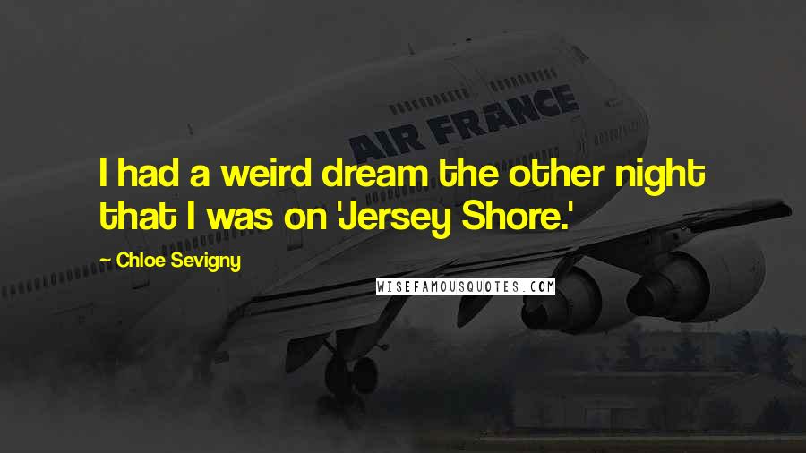 Chloe Sevigny Quotes: I had a weird dream the other night that I was on 'Jersey Shore.'