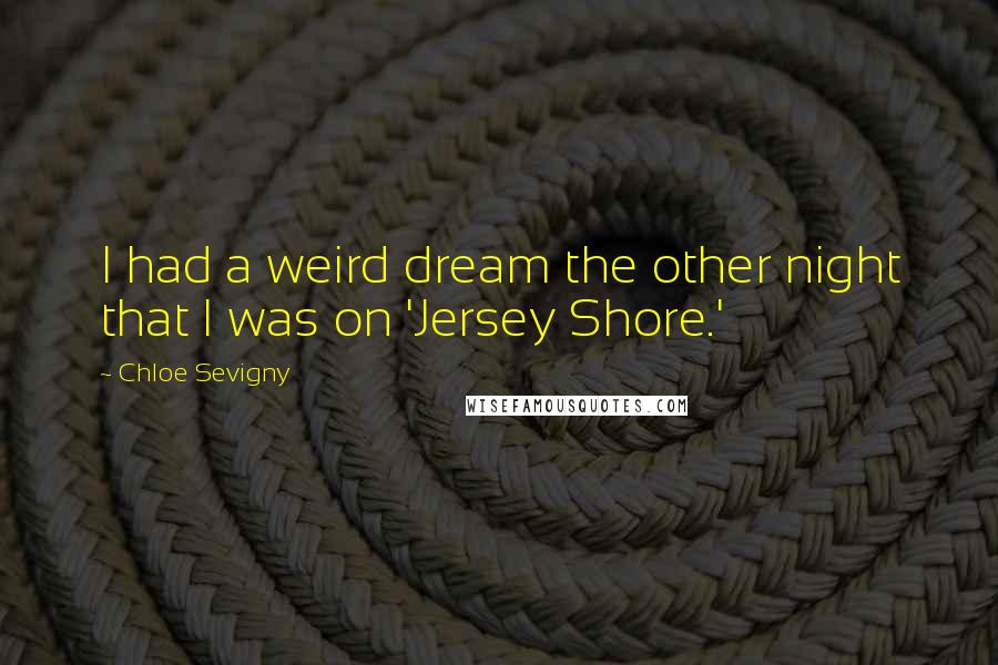 Chloe Sevigny Quotes: I had a weird dream the other night that I was on 'Jersey Shore.'