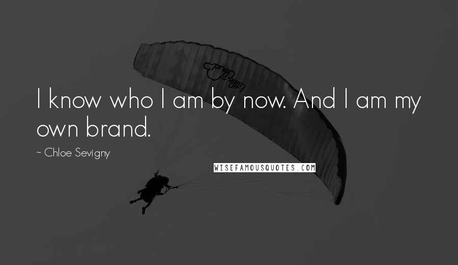 Chloe Sevigny Quotes: I know who I am by now. And I am my own brand.